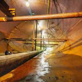 Bypass Pumping Through the Host Pipe