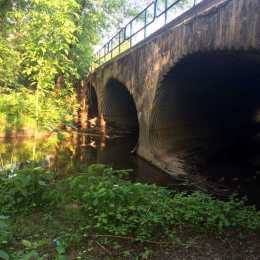 image003
